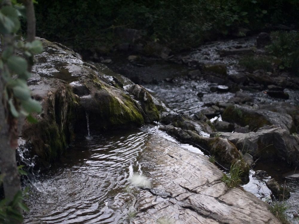 Photograph by Баженова Наталья