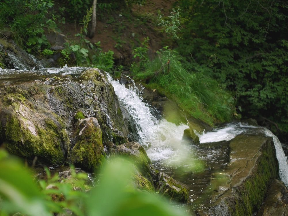 Photograph by Баженова Наталья