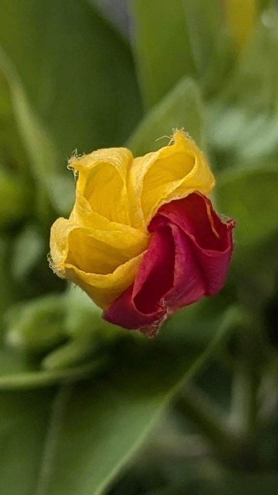 Фотография автора Lilit Petrosyan