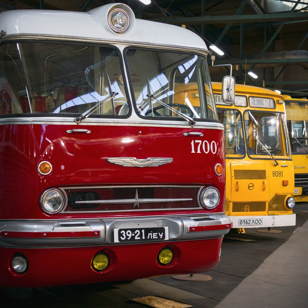 Photograph by Юлия Алексейчикова