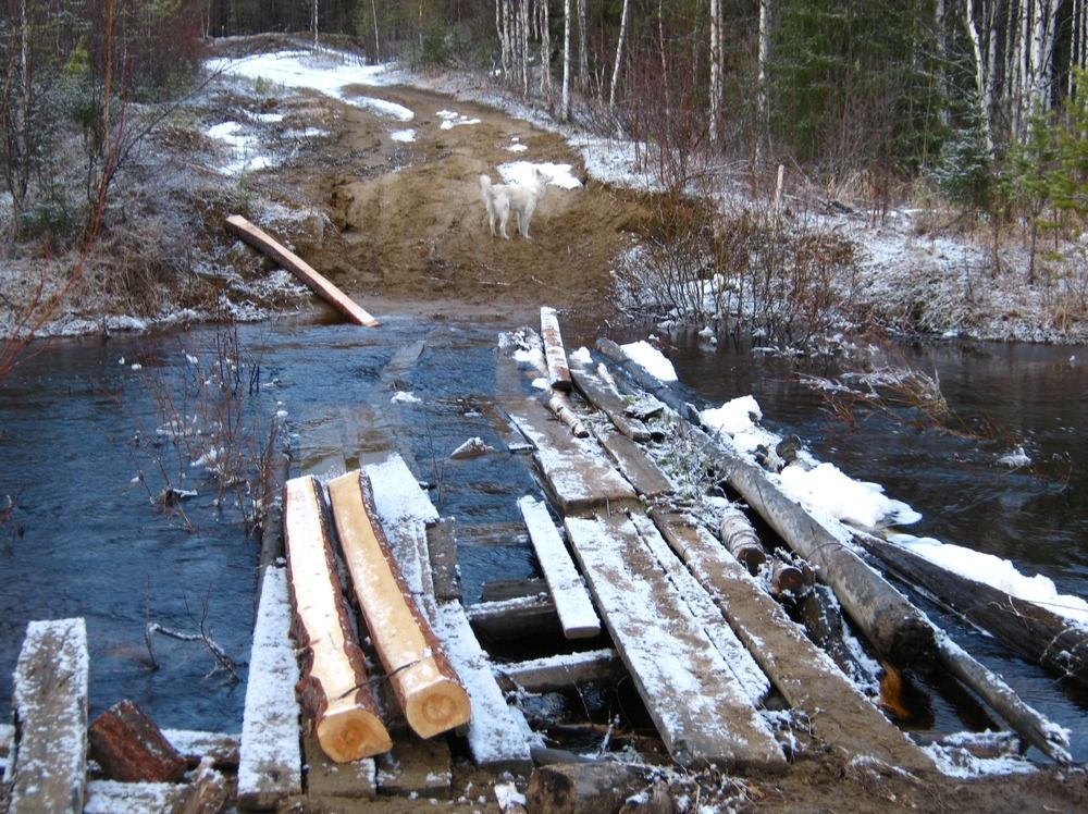 Фотография автора геннадий лалаев