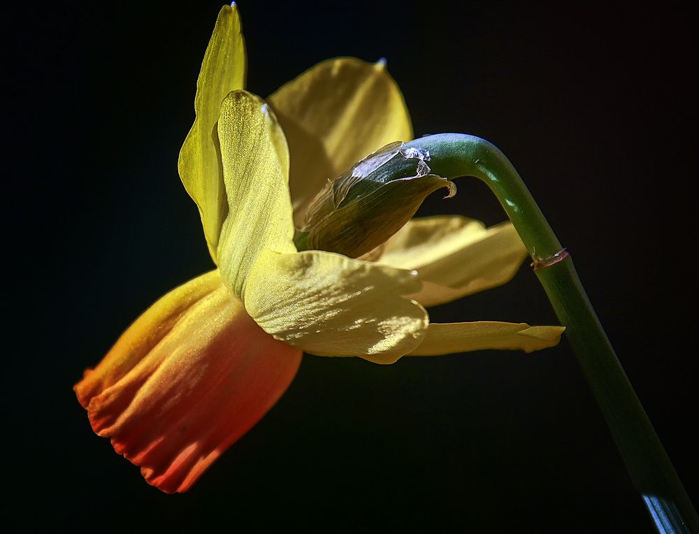 Photograph by Александр