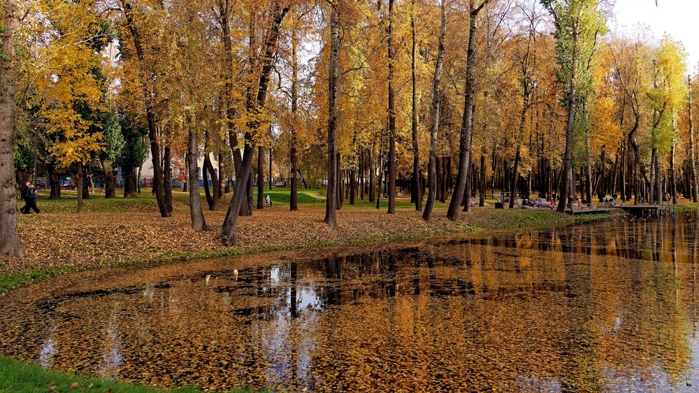 Photograph by Вячеслав