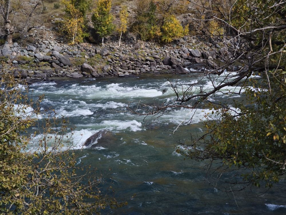 Photograph by Наталья Веселкина