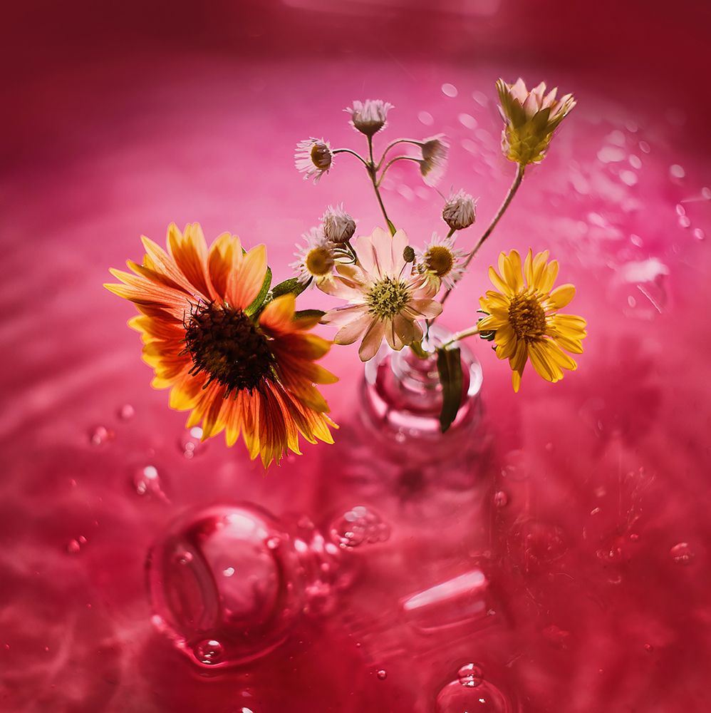 Фотография автора MVO (Марк Орлов)