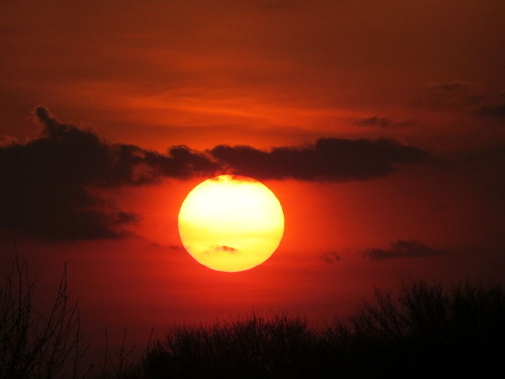 Photograph by Лариса Басова