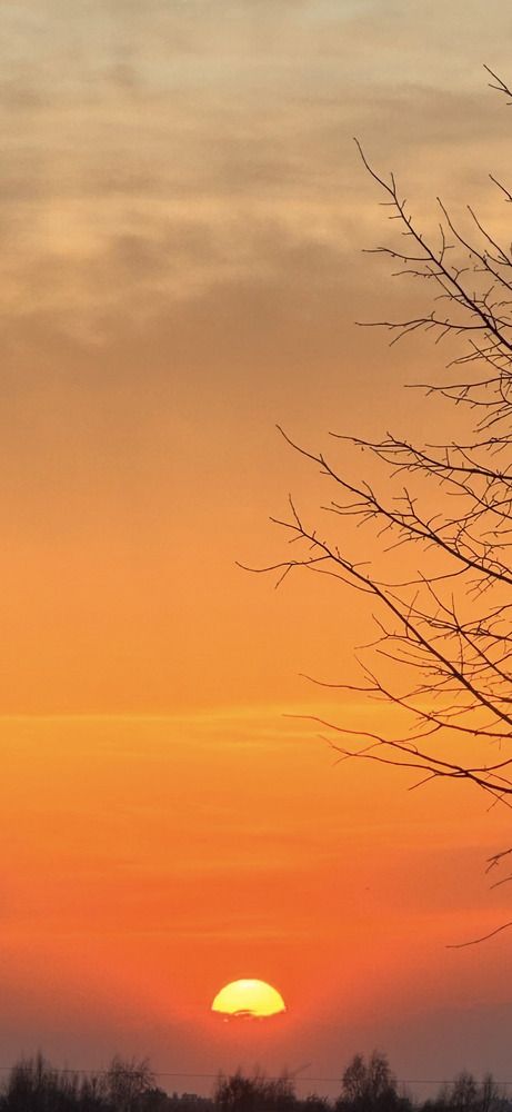 Photograph by Ольга Имамкулиева