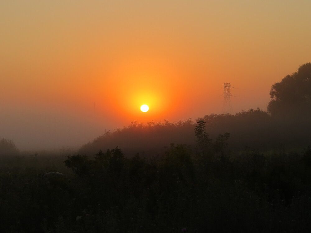 Photograph by Лариса Басова