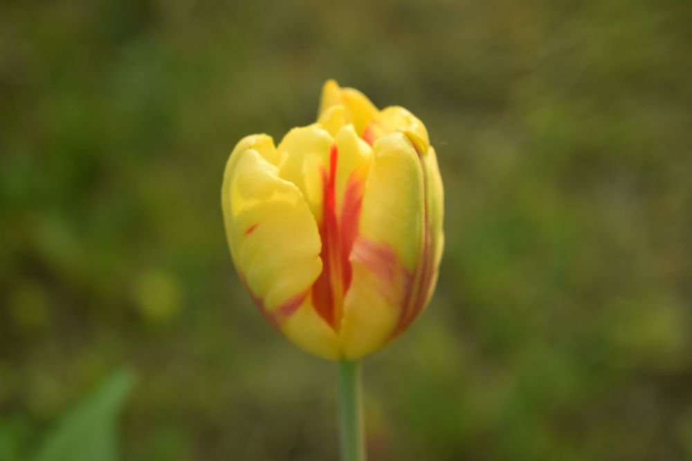 Photograph by Наталья Еременко