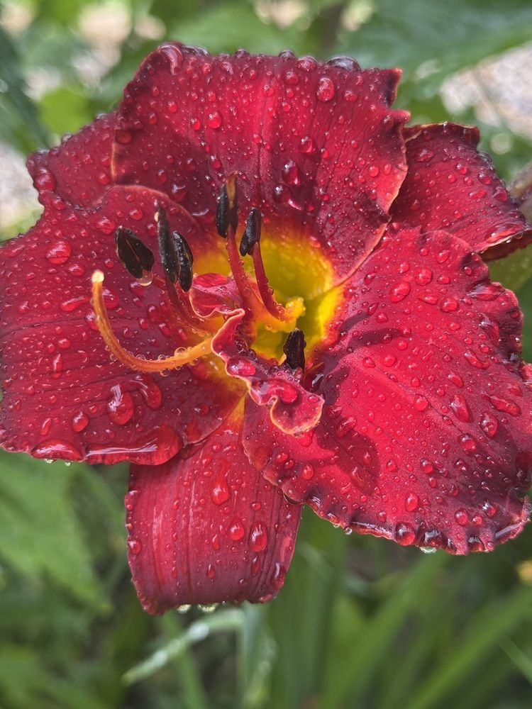 Photograph by Бойкова Наталия