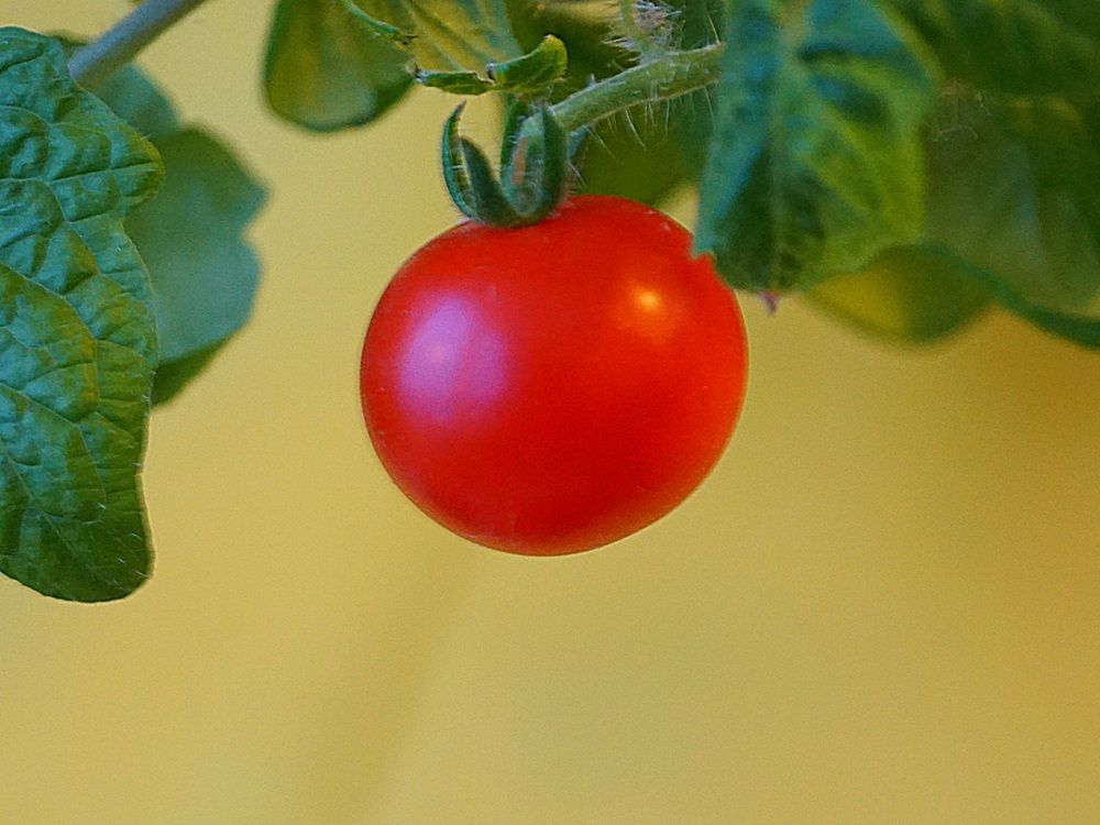 Photograph by Михаил Трусов