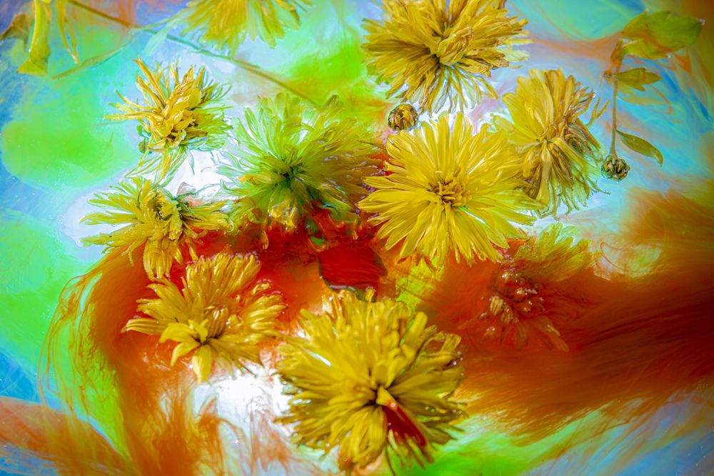 Photograph by Игорь Смирнов