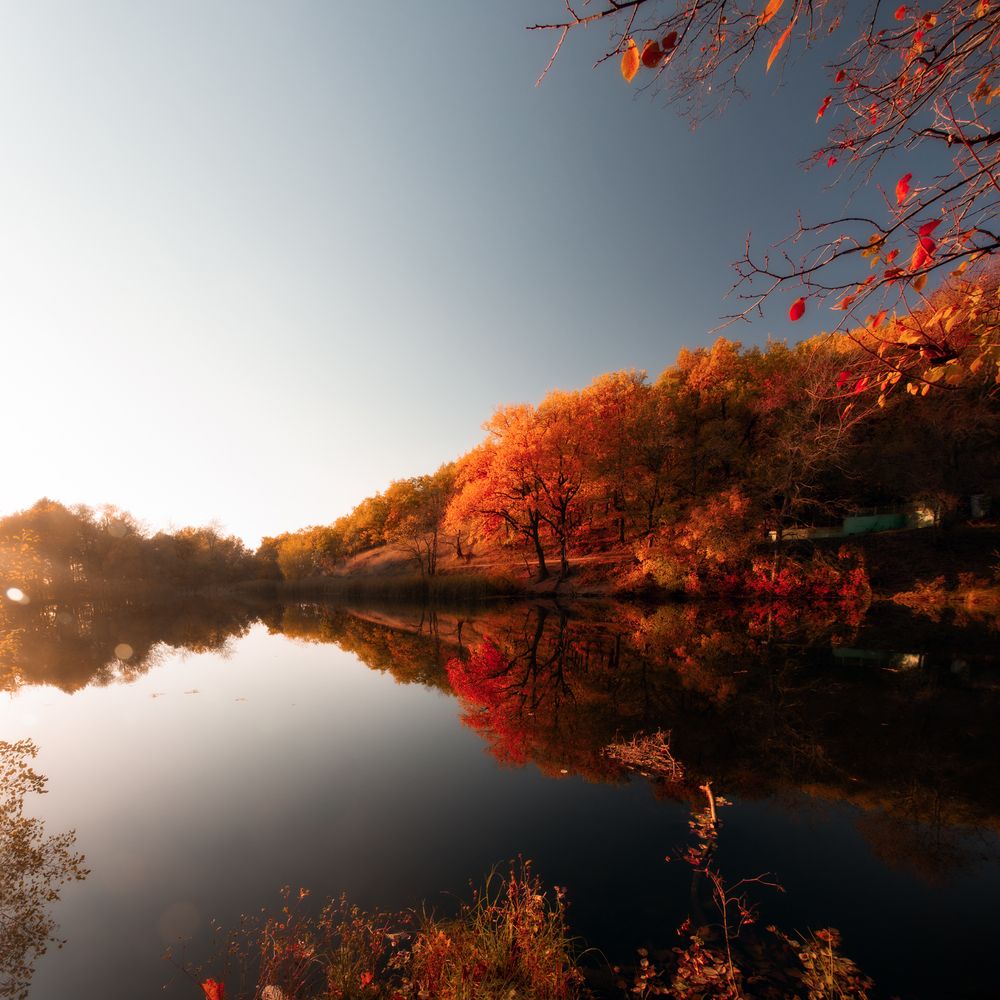 Photograph by Никита Власов
