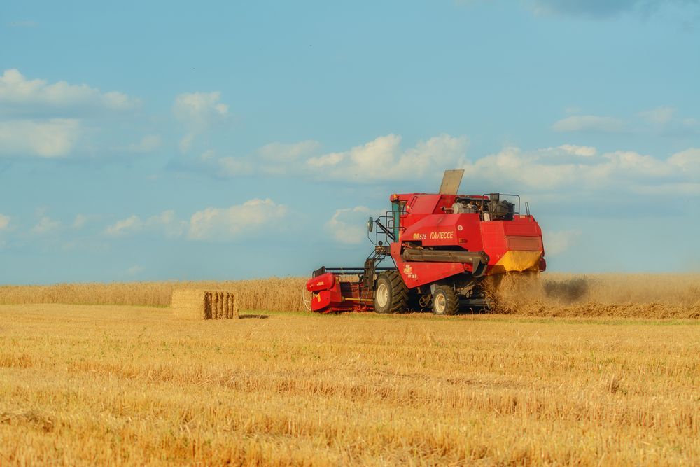 Photograph by Сергей Дишук