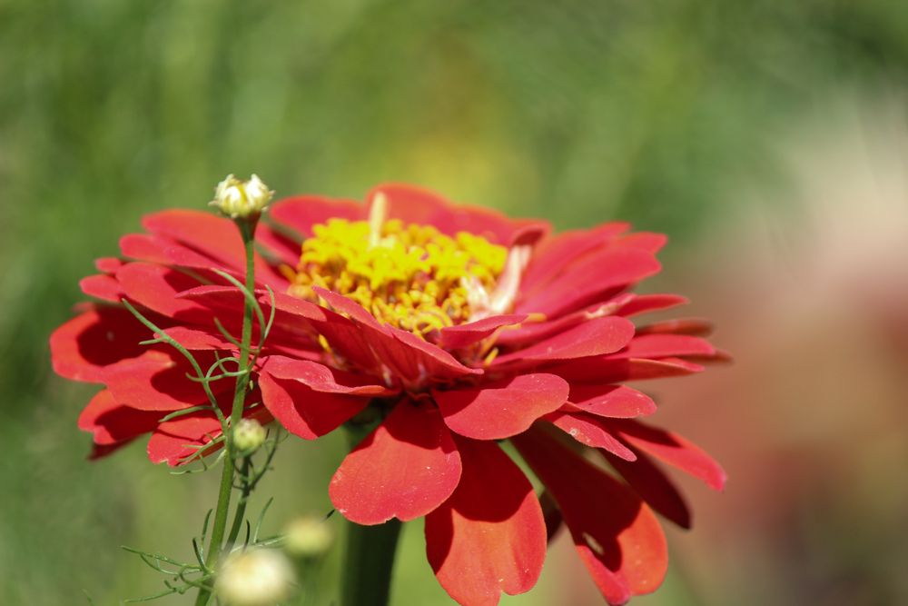Photograph by Ирина Дмитриенко