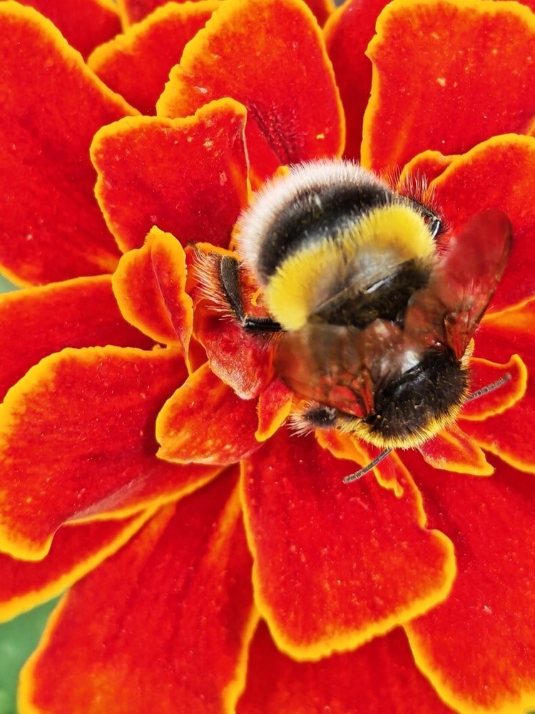 Photograph by OLga Piirainen