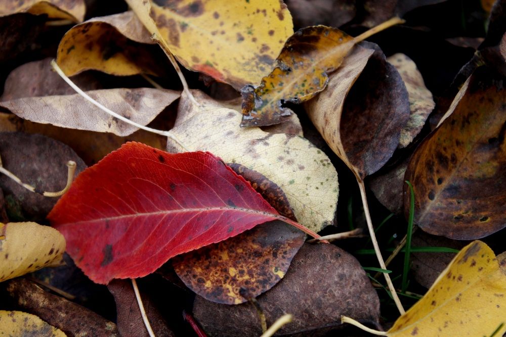 Photograph by Martin Ice