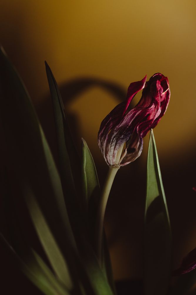 Фотография автора Войнов Дмитрий