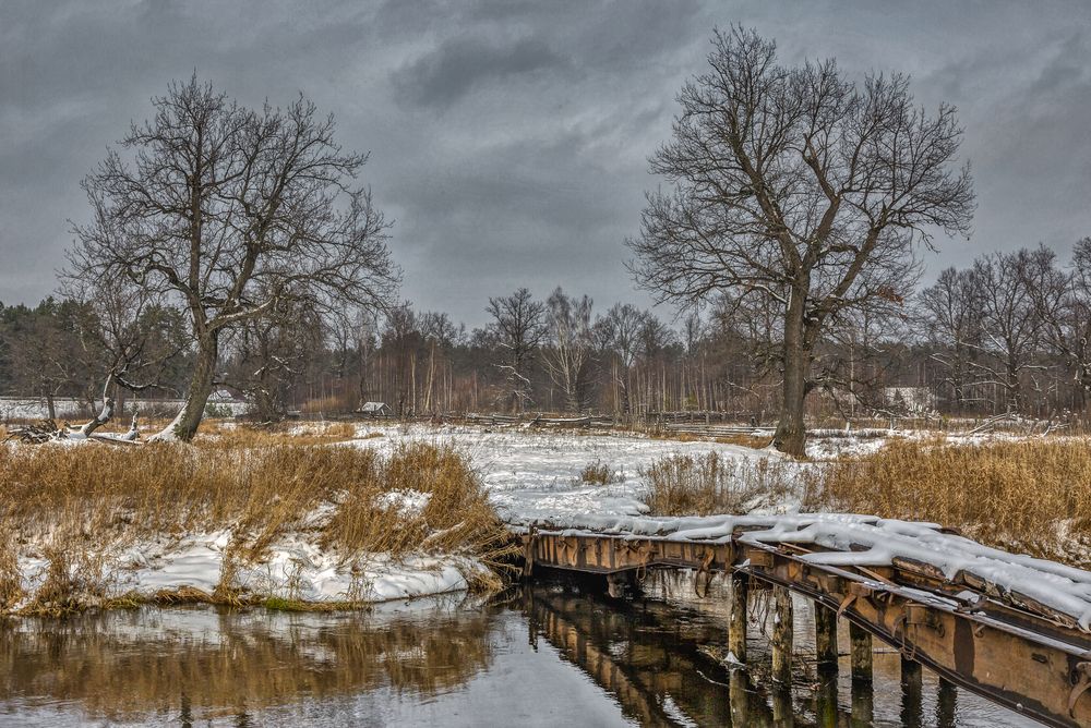 Фотография автора Александр Сальников