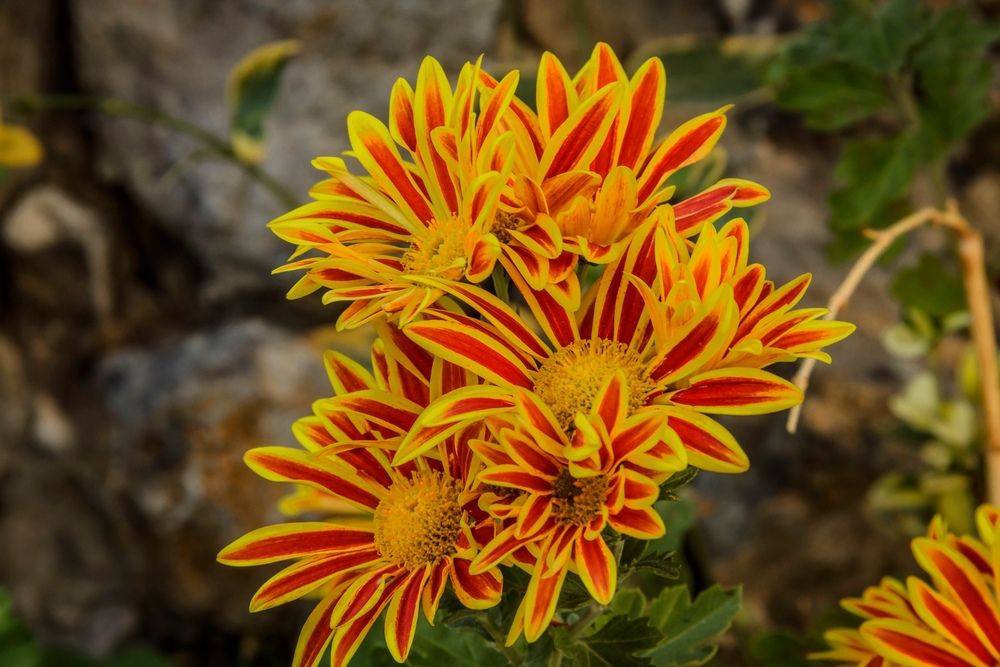 Фотография автора Игорь Сидун