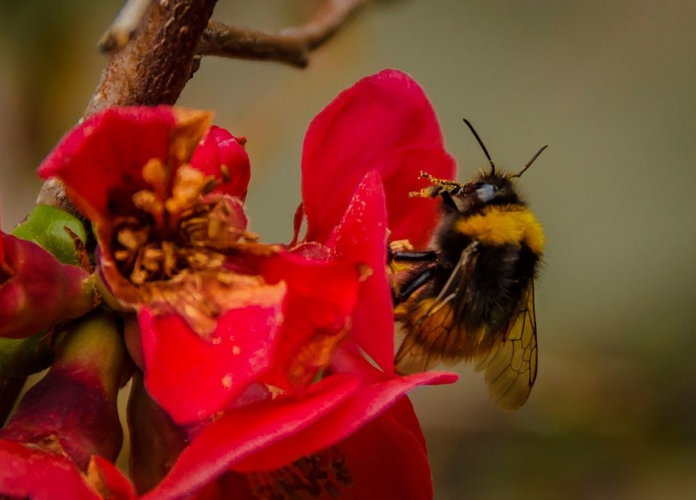 Фотография автора Игорь Сидун