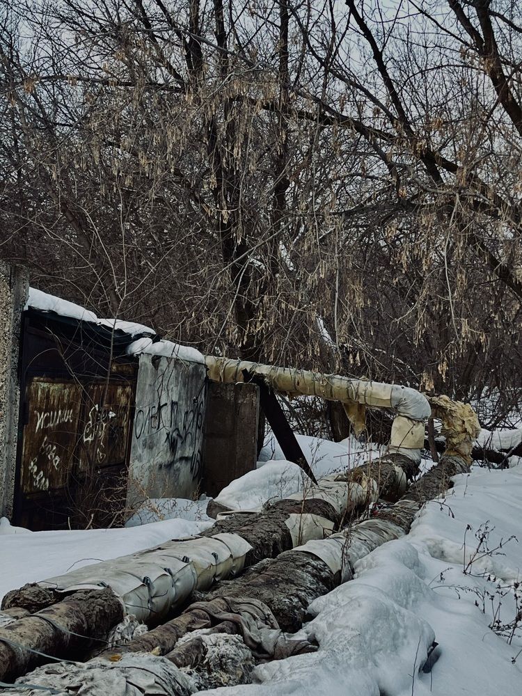 Краски двора