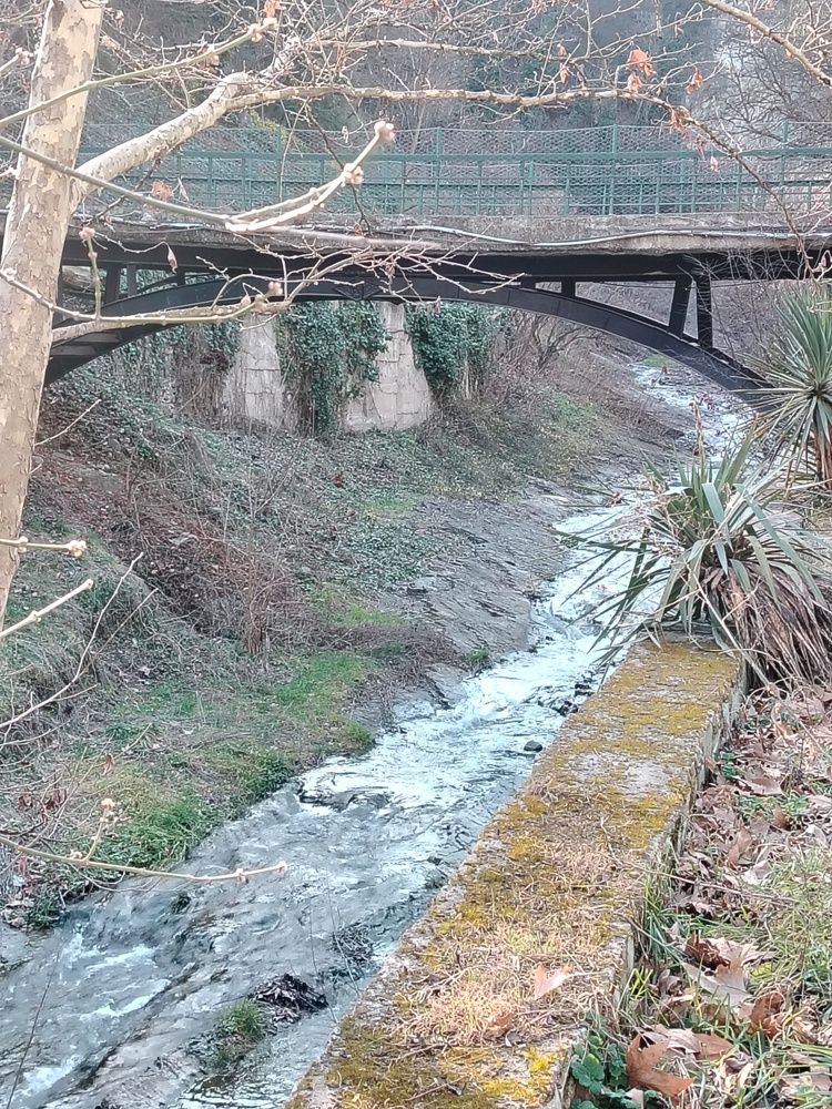 Photograph by Марианна Колесникова