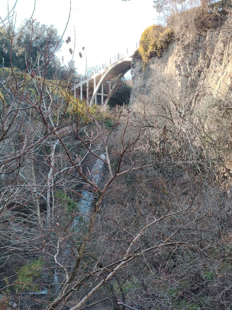 Photograph by Марианна Колесникова