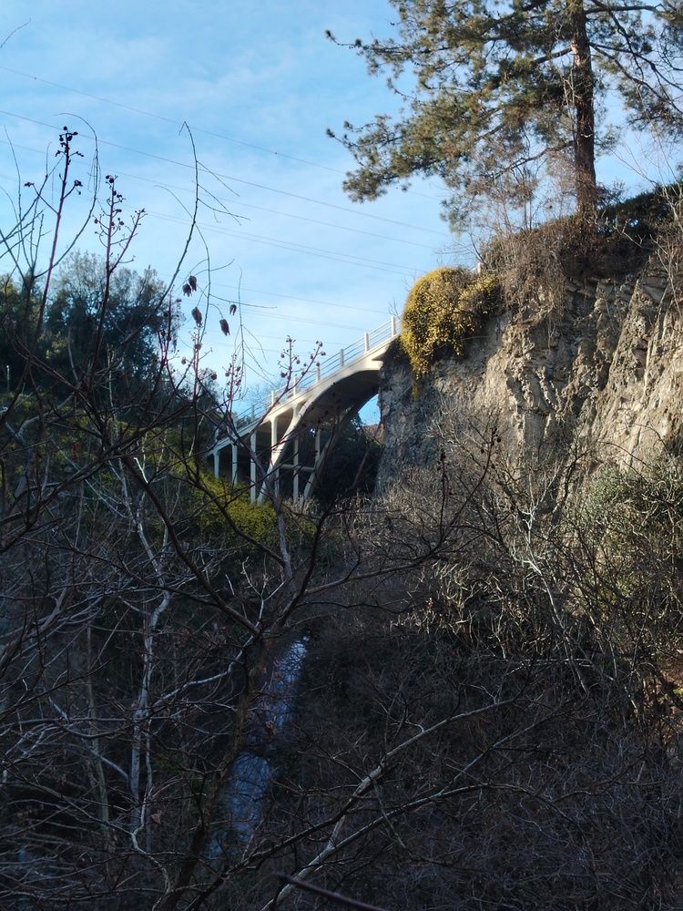 Photograph by Марианна Колесникова