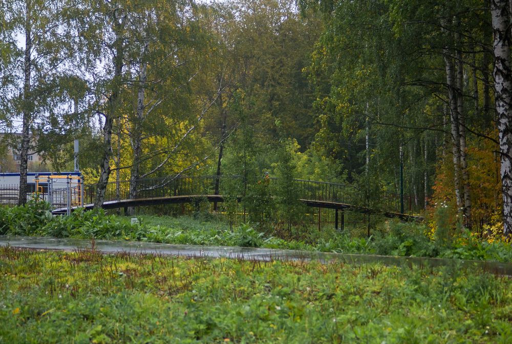 Photograph by Шистеров Сергей