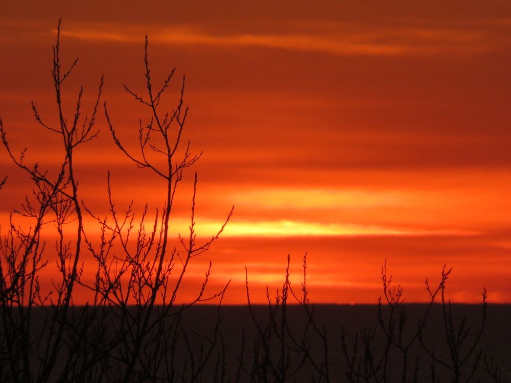 Photograph by Maria Isabel Moreira