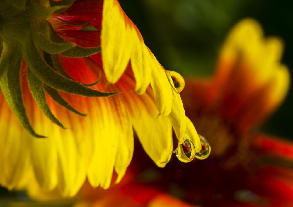 Фотография автора Солодар Виктория