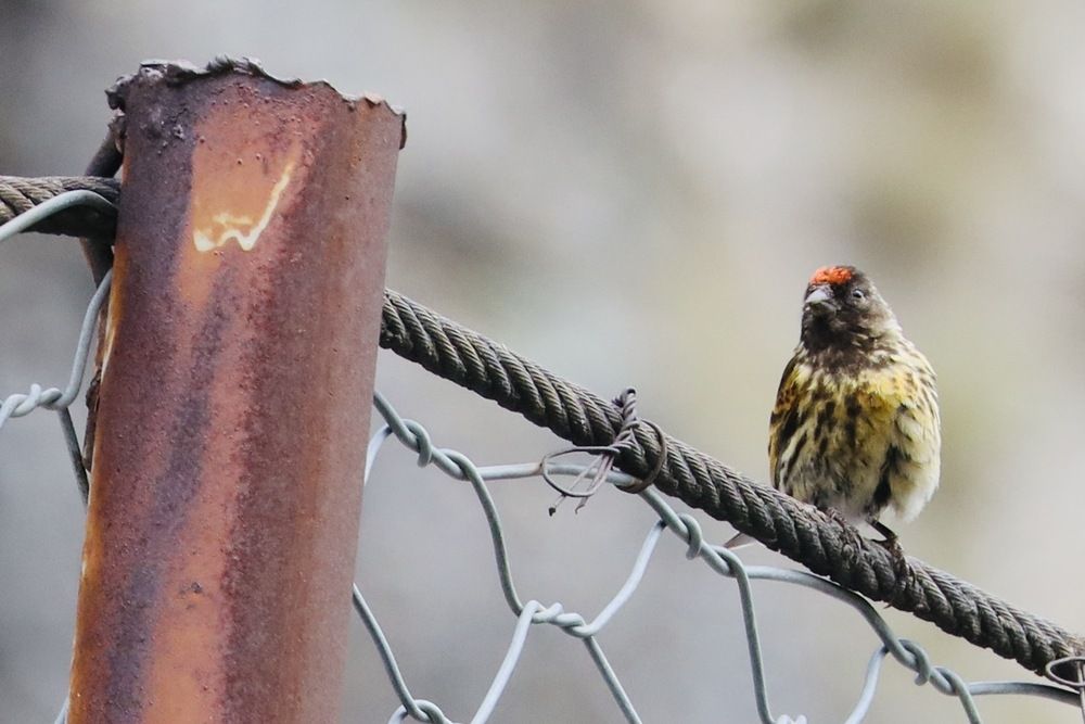 Photograph by Ника Мартынова