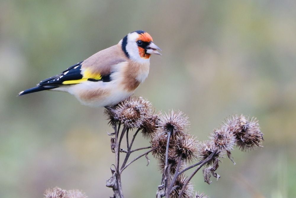 Photograph by Ника Мартынова