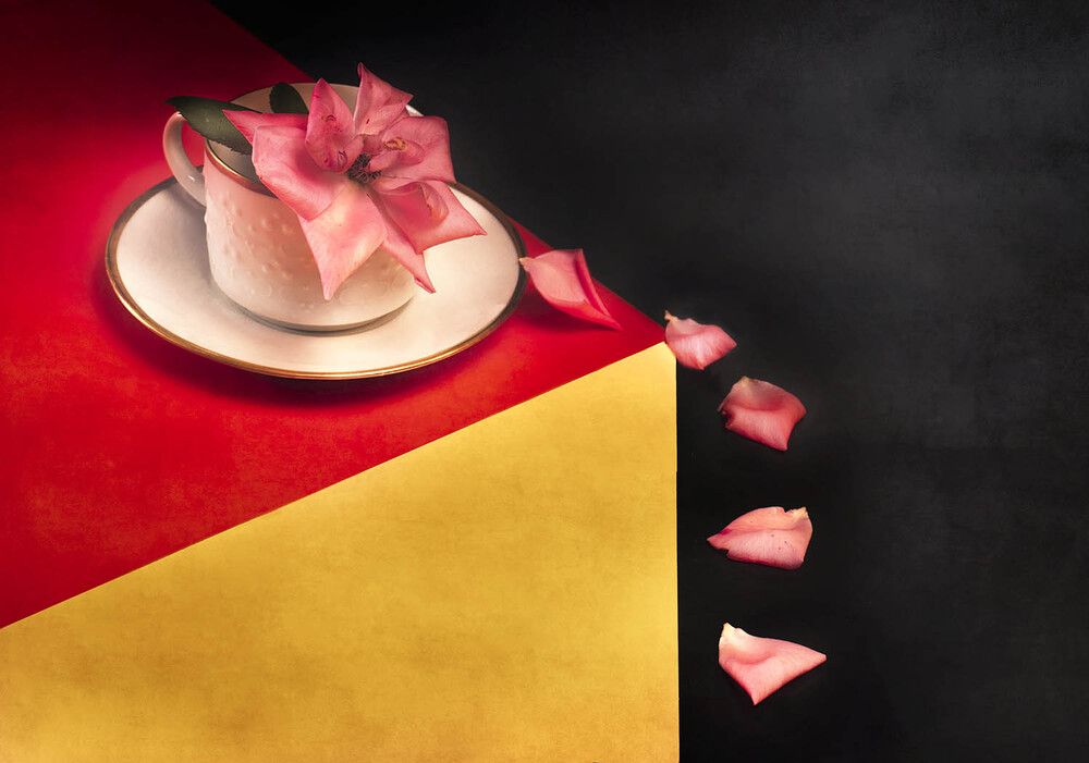 Фотография автора Солодар Виктория