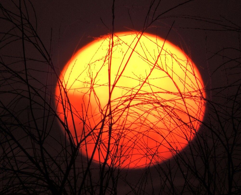 Photograph by Николай Боярин