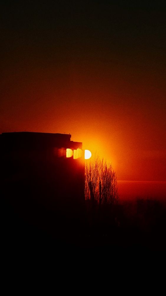 Photograph by Мария Смирнова