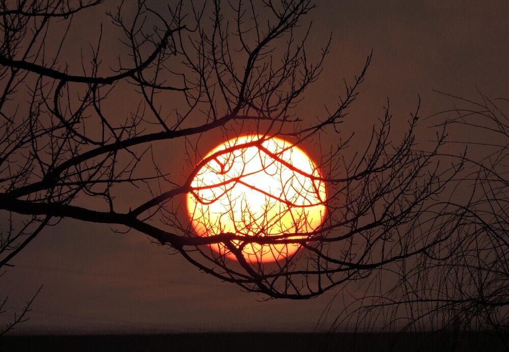Photograph by Николай Боярин