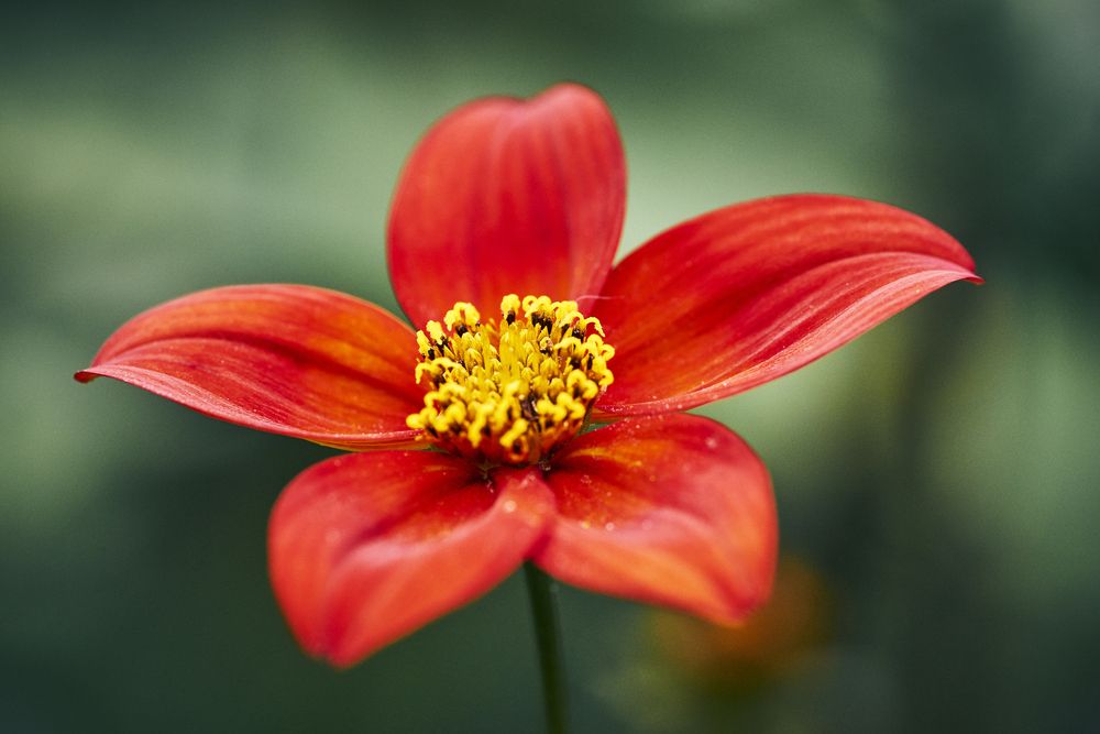 Photograph by Natalie Liedtke