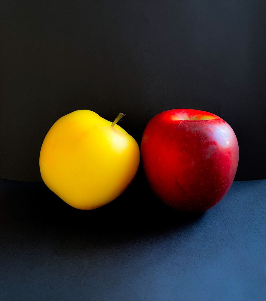 Photograph by Irina Ginbert