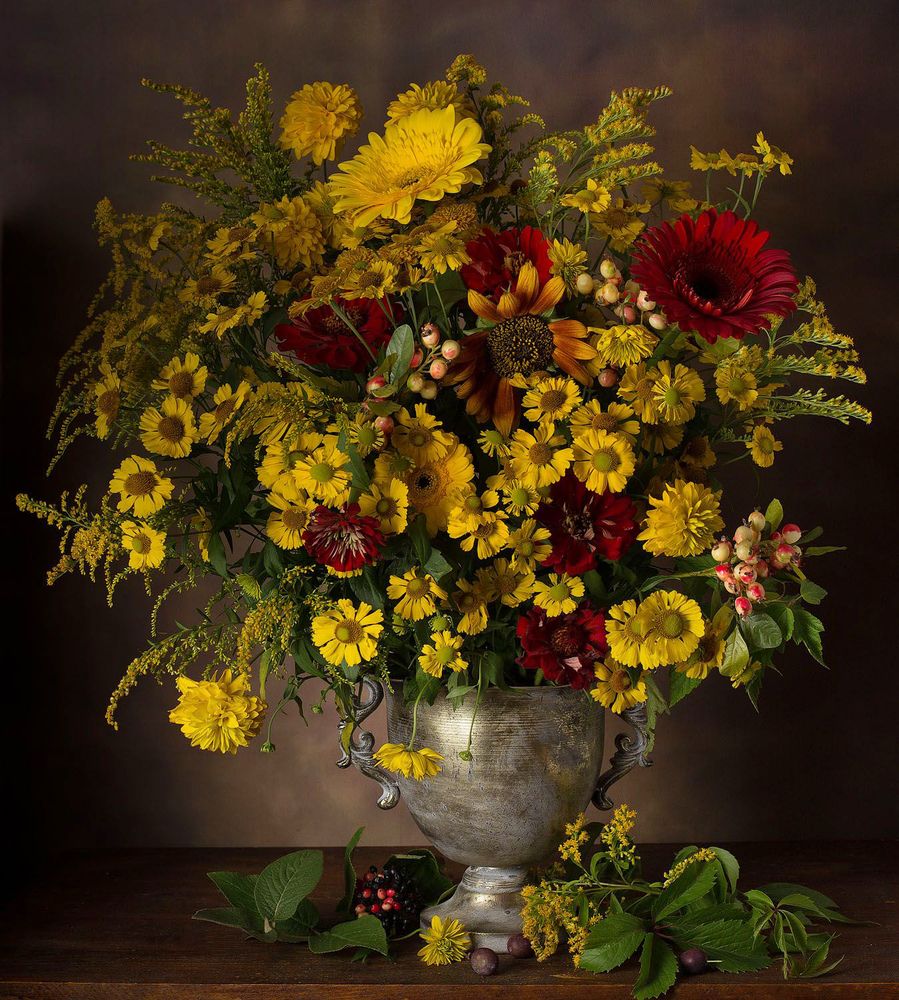 Фотография автора Алина Ланкина