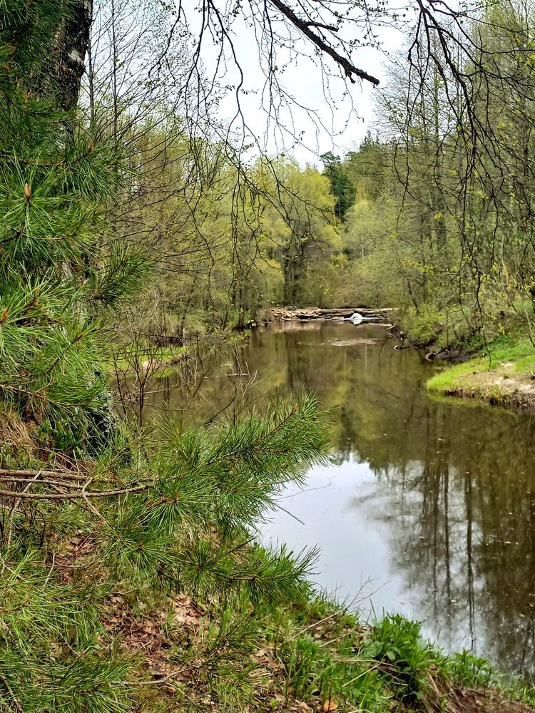 Photograph by Яна