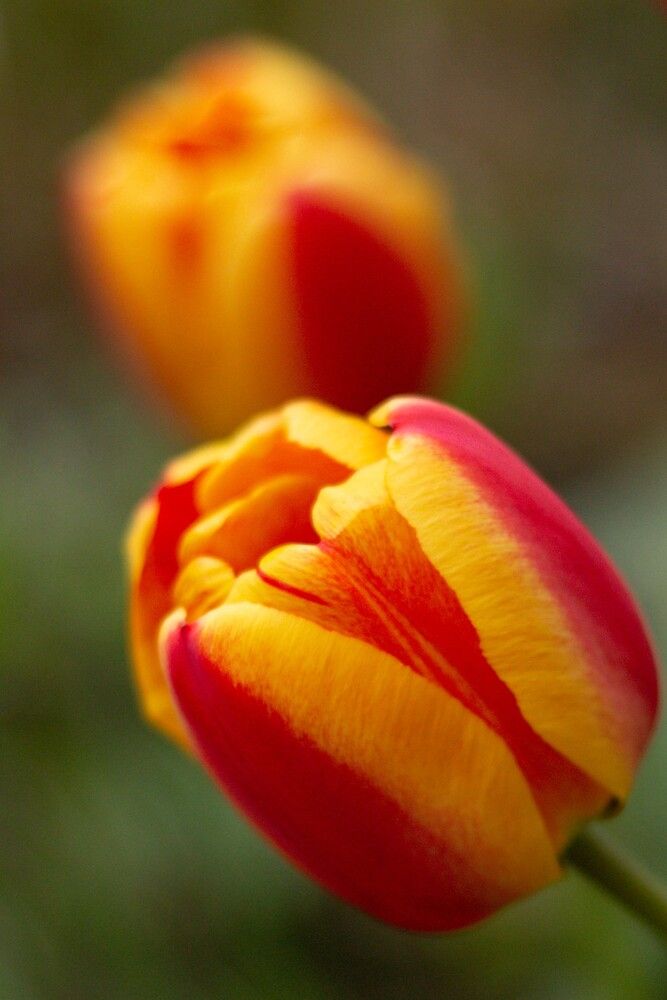 Фотография автора Наталия Козлова