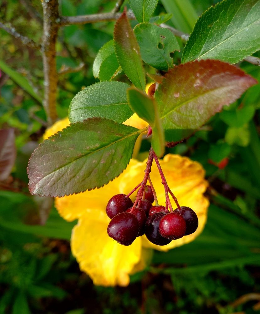 Photograph by Яна