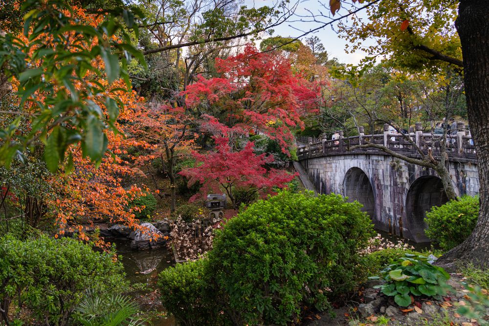 Photograph by Алина Еникеева