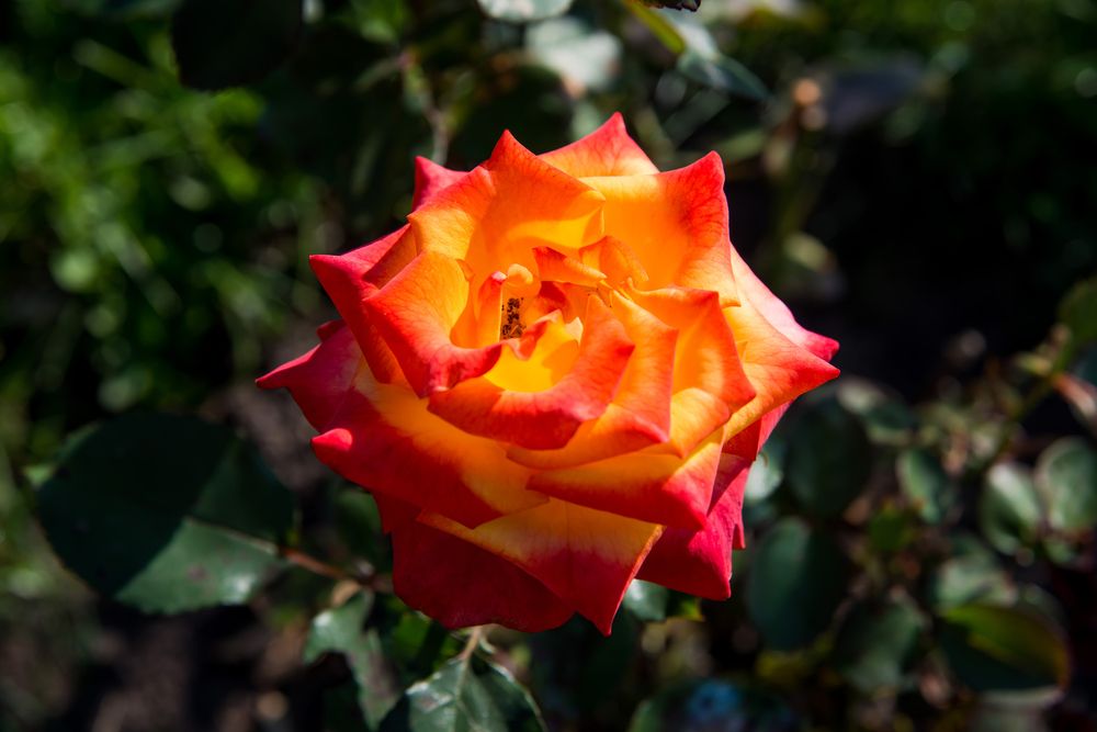 Photograph by Андрей Чуйков