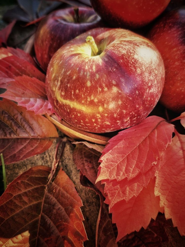 Photograph by Елена Ибрагимова