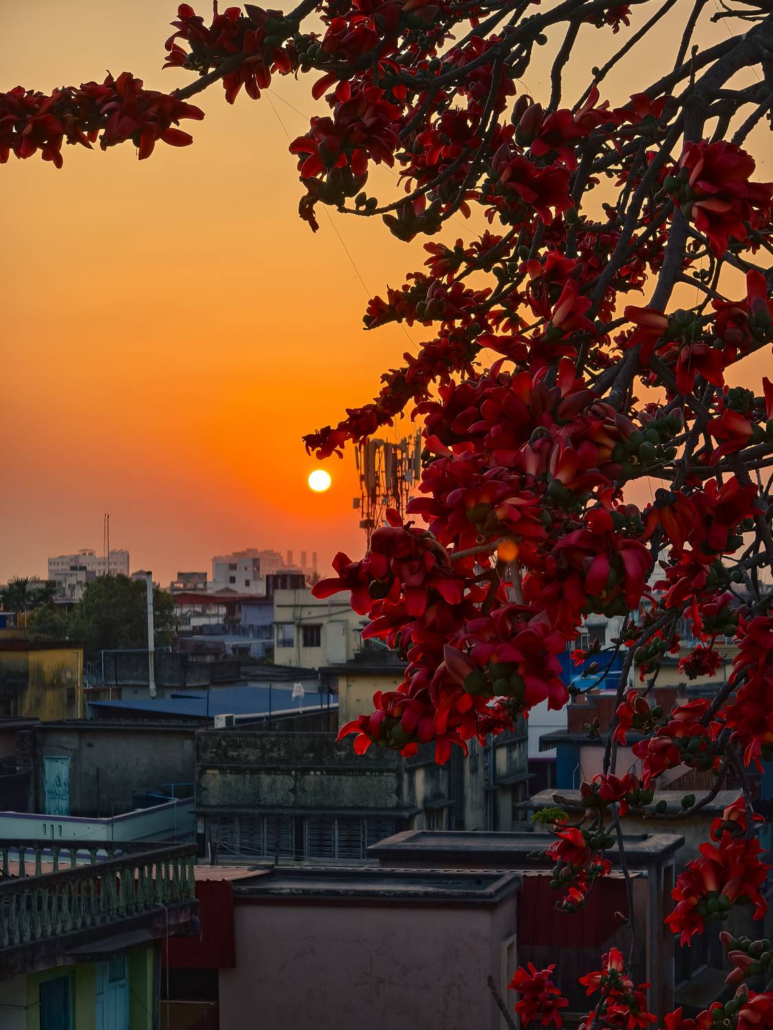 Where Spring Meets the Sun