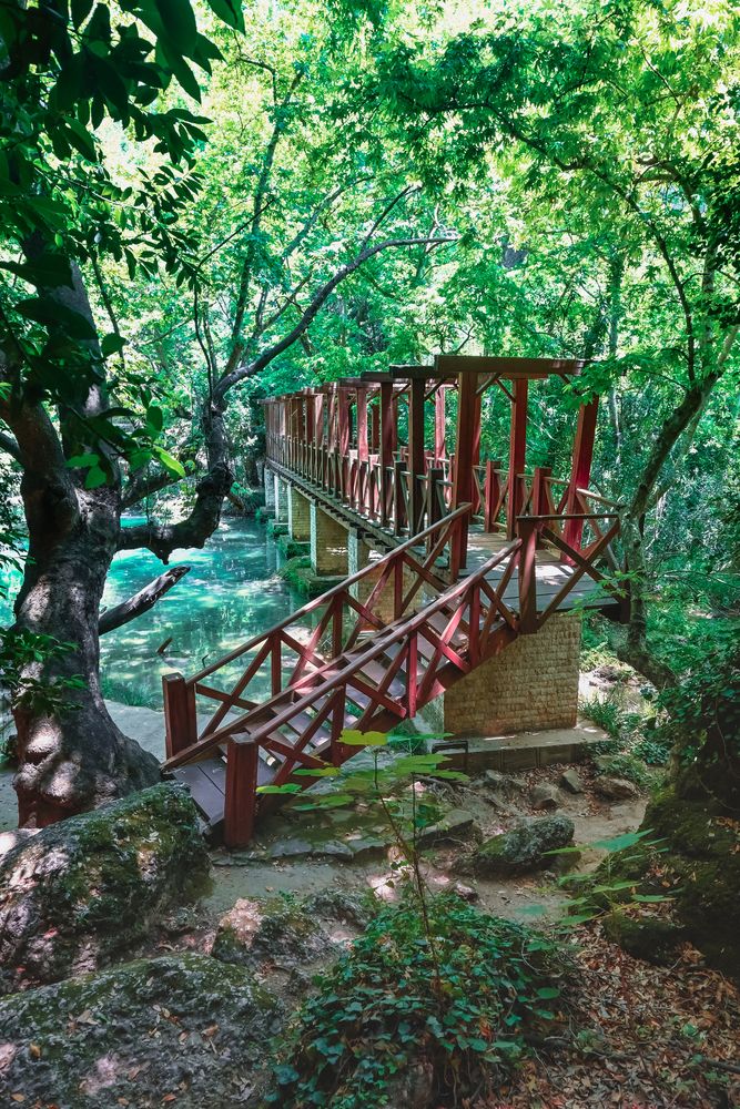 Photo #13419094