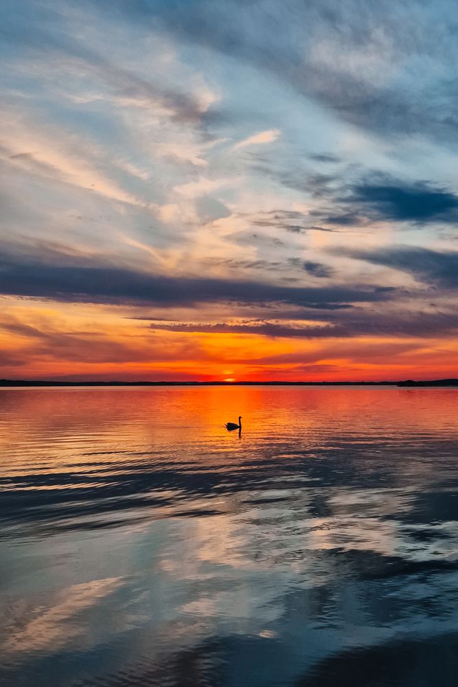 Photograph by Grushko Valeriya